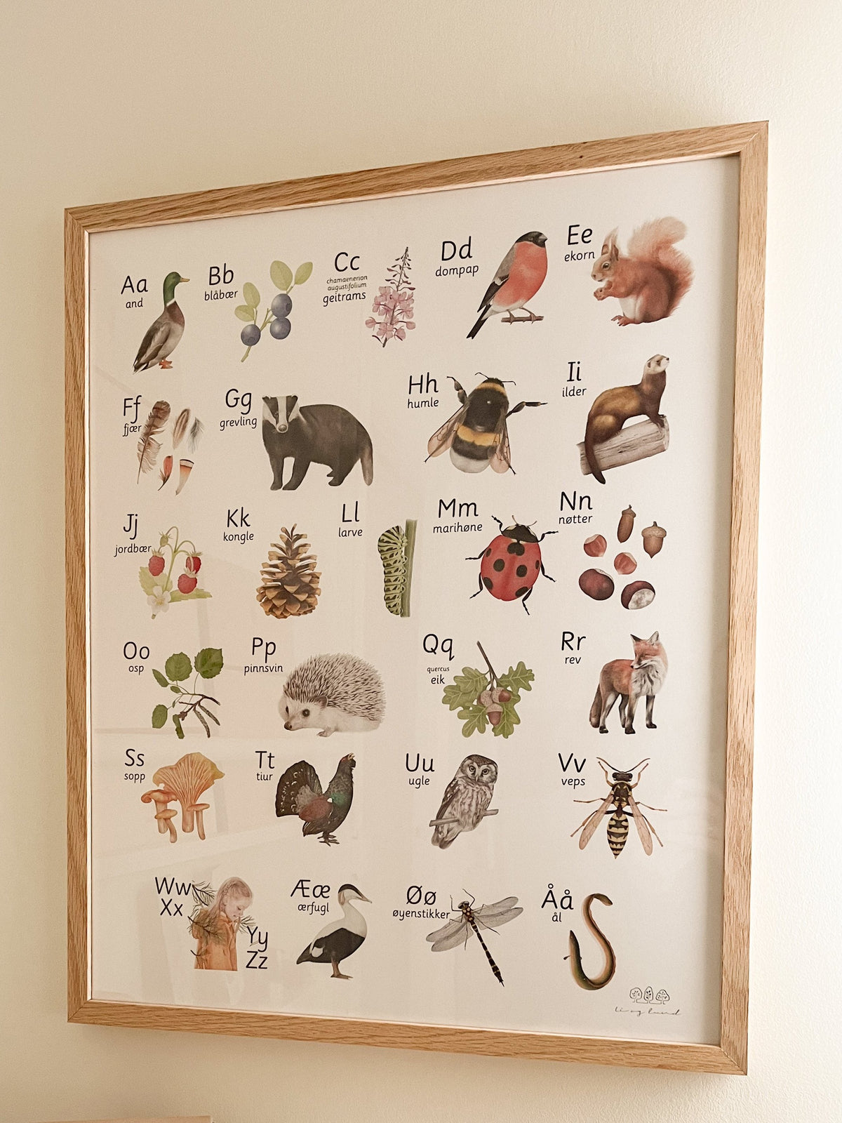 ABC plakat, alfabet plakat – lioglund